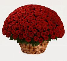 Премиум букет из: Розы в Улаган