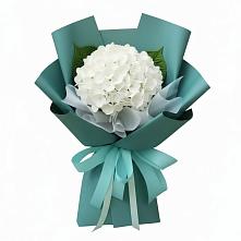 Букет цветов из:  Гортензия в Улаган